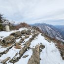 나고물산