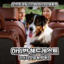 (주)미소 2공장 | 경기 광주 에이데이 스튜디오 아임반 헤드레스트 강아지 모델 촬영 후기