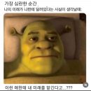 에이플러스에셋부산빌딩(메타타워) | 익산고구마모짜렐라버거/핫토픽 선정/비콩피/후쿠오카 텐진 자유여행/부산 포켓몬 지하철 스탬프랠리