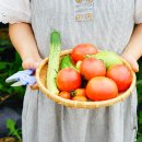 장수텃밭