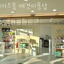 데이즈몽 애견미용샵 이미지