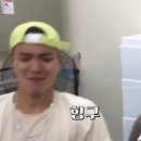 허니밥 Daum카페
