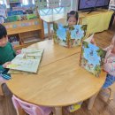 10월 27~28일 좋은 언어:최고의 곰 추적자, 코딩 이미지