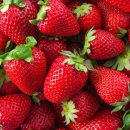 평화과일 이미지