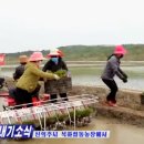개풍농장 네이버블로그