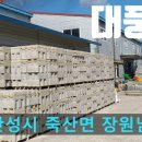 대풍건재 이미지