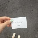 이동빈대떡 | 제주 여행 맛집 우진해장국 | 고사리육개장, 몸국, 빈대떡 후기 (주말 웨이팅 팁)