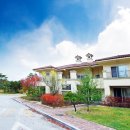 알프스대영 골프빌리지 이미지