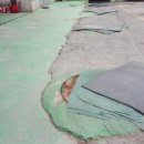 죽양대로 이미지