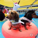 첨벙첨벙