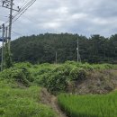 3지구대마트