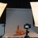 기초 사진 강좌 이미지