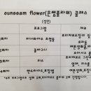 은쌤플라워