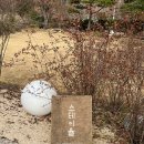 스테이율 이미지