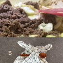세척 편리한 <무인양품> 보온보냉 도시락 430mL 그레이베이지 내돈내산 후기