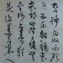 농서로 네이버블로그