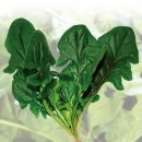 주식회사대찬 이미지