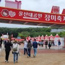 인산인해 - 종로구 인사동길 27-1 | 2026 울산장미축제 실시간 방문 후기: 아침 일찍부터 인산인해! 울산대공원의 화려한 장미 바다