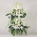 조성초교 이미지