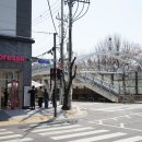 중랑천 뚝방길 (옥외8) | 안양천 벚꽃길 지난 주말에 다녀온 후기! 벚꽃이 많이 피어있네요ㅎㅎ 주말에 다녀오기 좋은곳!