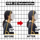 비타민휘트니스 | [수원ㅣ1:1 PT 후기 ] 수원 성대역 PT 추천(비타민 휘트니스)