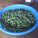 김인성농장 이미지