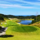 바다와 숲 이미지