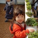 샘물농장 2 이미지