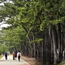 해파랑길 30코스