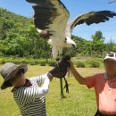 제니아관광호텔 이미지