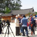 주상전하 이미지