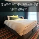 엘리스 호텔 | [제주/제주시] 깔끔하고 위치 좋은 제주시 호텔 엘리스앤트렁크 솔직후기!