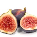 삼호농장4 이미지