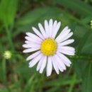 좋은인연 이미지