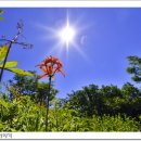 개승목장 이미지