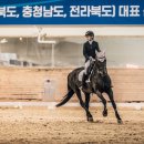 홀스마스터즈 승마클럽 이미지