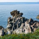 주상절리대 이미지