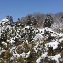 솔향기마을 이미지