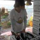 상연농장 이미지