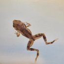 그림책이 살아있다(6~7세) 이미지