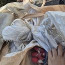 가산면사무소 이미지