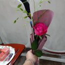 남양주시 합기도 연합회 | 남양주 SNS 소상공인 연합회 61회차 모임 후기