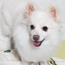 (주)동실 이미지