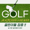 미주프라자 스크린골프존 이미지