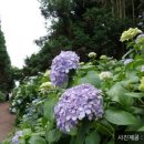 베스트농장 이미지