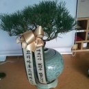 (주)후드코리아 이미지