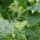 창현농장 이미지