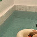 가평 댕댕이 애견 풀빌라 펜션 블루 이미지