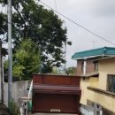 라비앙로즈아파트 이미지