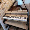 돌체 피아노 학원 이미지